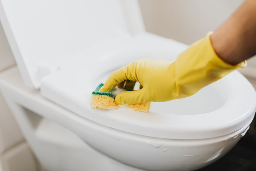 How To Clean Your Toilet The Right Way In Your Bathroom