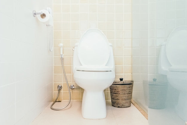 Increase Comfortability By Installing The Right Toilet In Your Bathroom