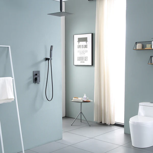 Shower System-Ceiling Mount